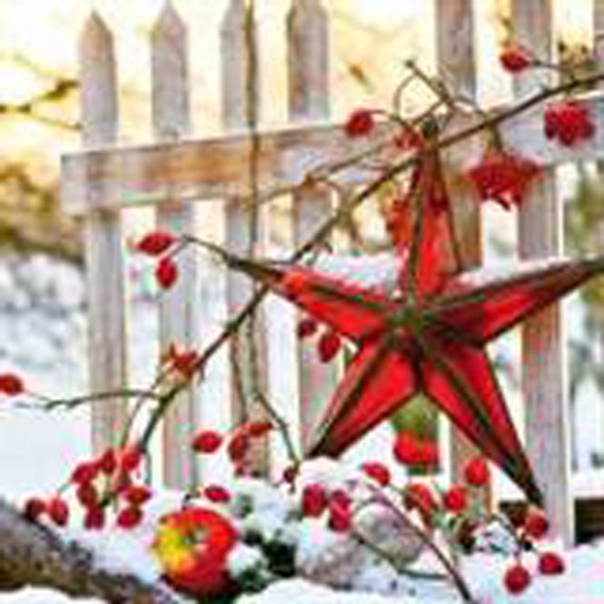 Hovedbilde Lunsj serviett, Adventstjerne ...