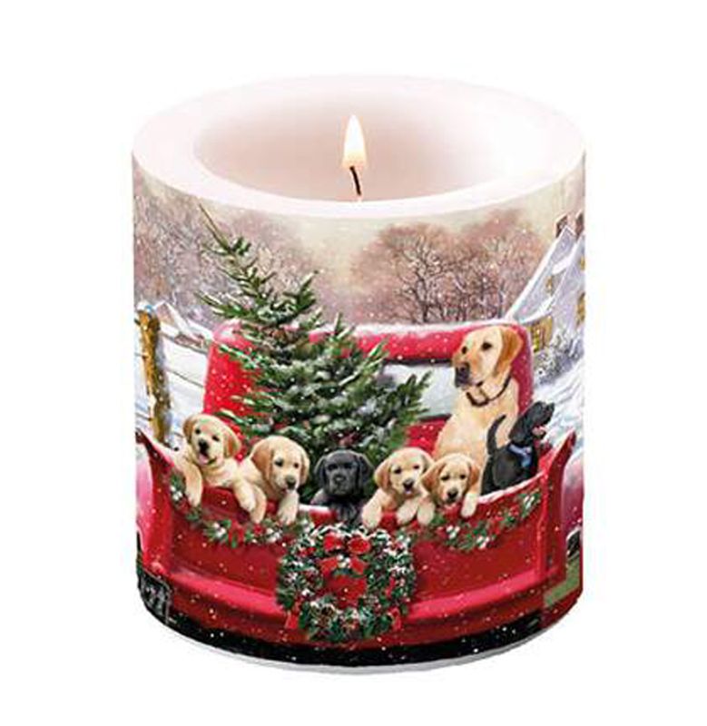 Dekor kubbelys, Hundefamilien på tur, fra Ambiente.