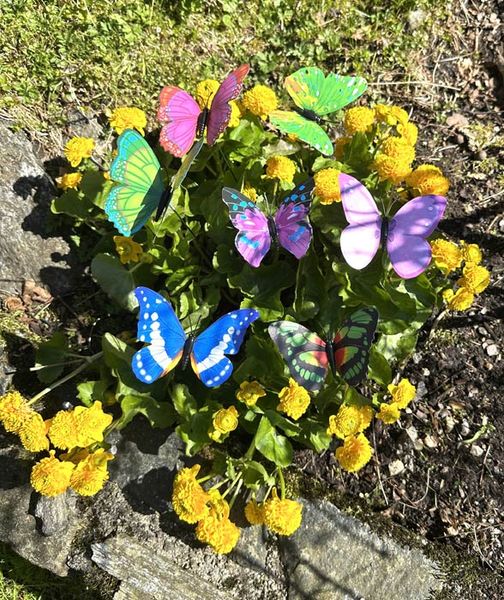 Sommerfugl p&aring; pinne i 10 forskjellige farger.